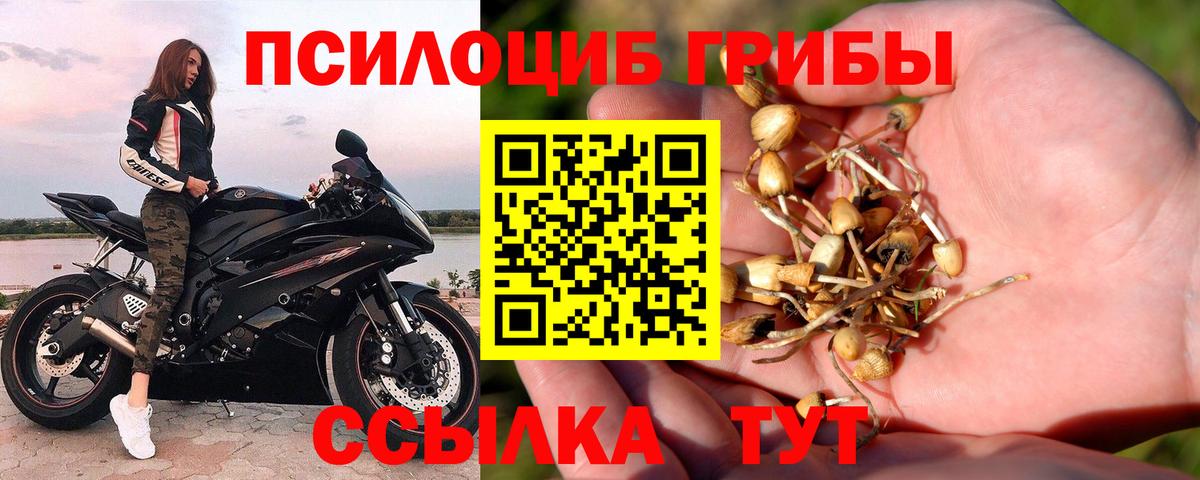 Галлюциногенные грибы мухоморы Тольятти